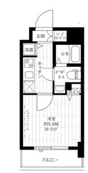 ステージグランデ茗荷谷の物件間取画像